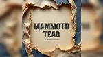 Mammoth Tear by Abhinav Bothra video DOWNLOAD - Download
