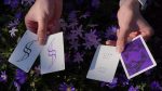 Dream of Butterflies by YD Cards