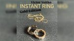 Instant Ring (silver/gold, Size 12) by Viktor Voitko