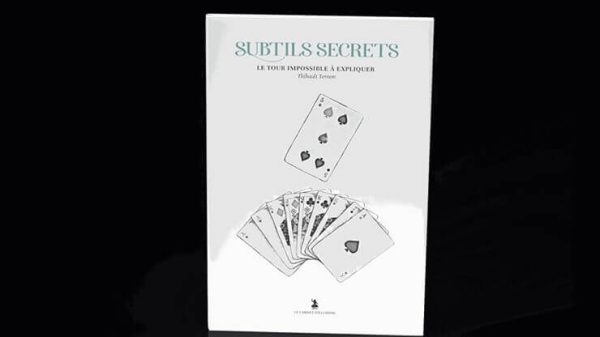 Subtle Secrets 2 by Thibault Ternon
