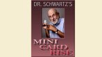 Mini Card Rise by Martin Schwartz