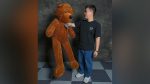 Teddy Bear Appearance (Medium) by MS Magic