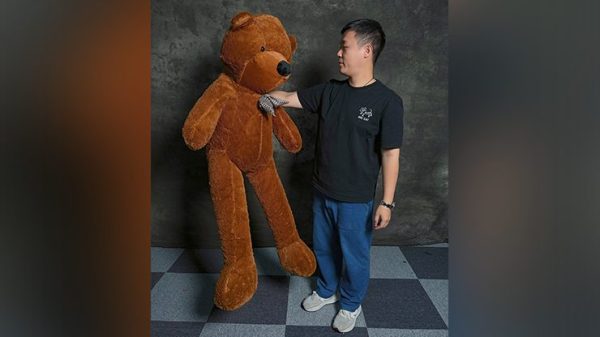Teddy Bear Appearance (Medium) by MS Magic
