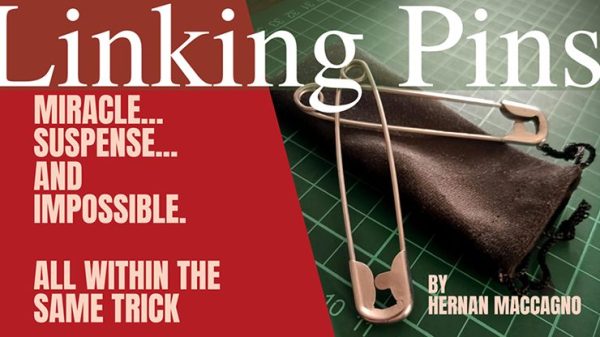 Linking Pins by Hernan Maccagno