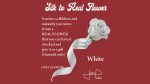 Silk to Real Flower (White) by Juan Pablo