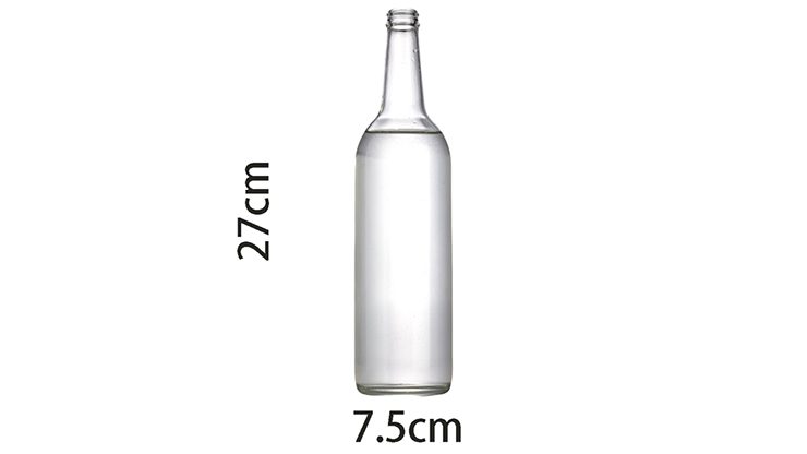 Self Exploding Transparent Beer Bottle (Large) by Wance
