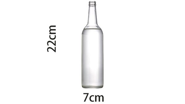 Self Exploding Transparent Beer Bottle (Small) by Wance