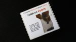 Tour de Force by Etienne Pradier