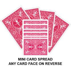 Mini Card Spread Card