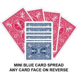 Mini Blue Card Spread Card