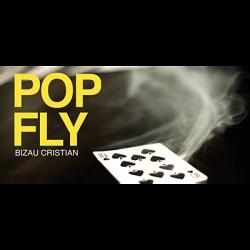Pop Fly by Bizau Cristian video DOWNLOAD